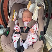 Evelyn joined the competition — help win amazing prizes! baby, infant, car_seat, stroller, sleeping, plush_toys, onesie, outdoor, flowers, blanket, seatbelt, baby_clothing, head, face, hand, footwear, toy, wheel, fabric, nature
