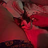 cat, bed, blanket, hand, night, indoor, red_light, person, patterned_clothing, pillow, petting, relaxing, comfort, animal, sleepy, domestic, cozy, closeup, feline, warm