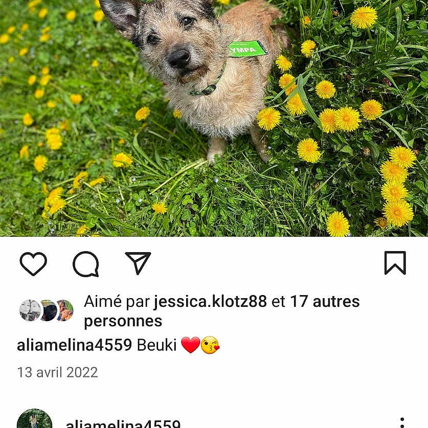 Beuki