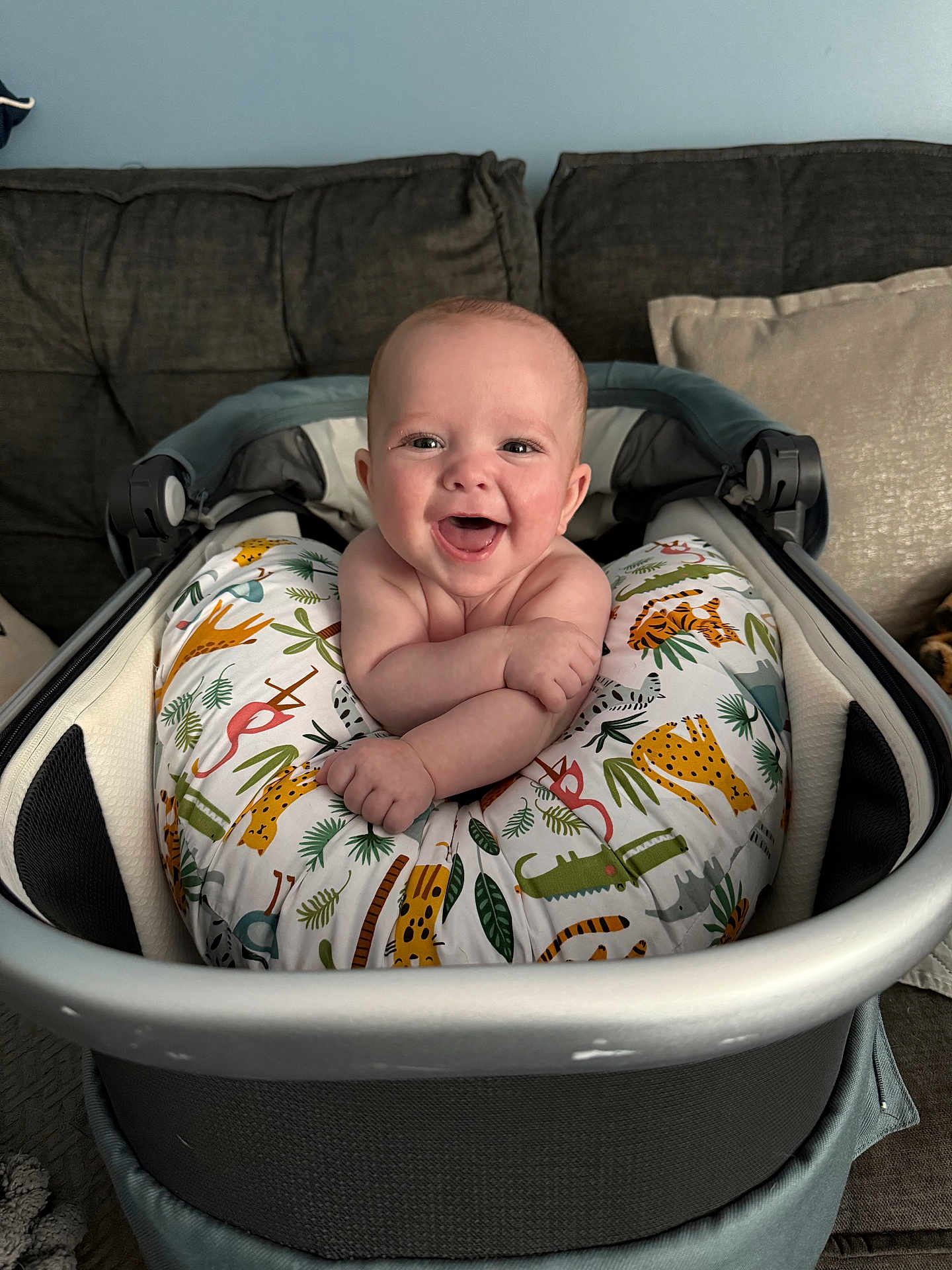 Jaxson