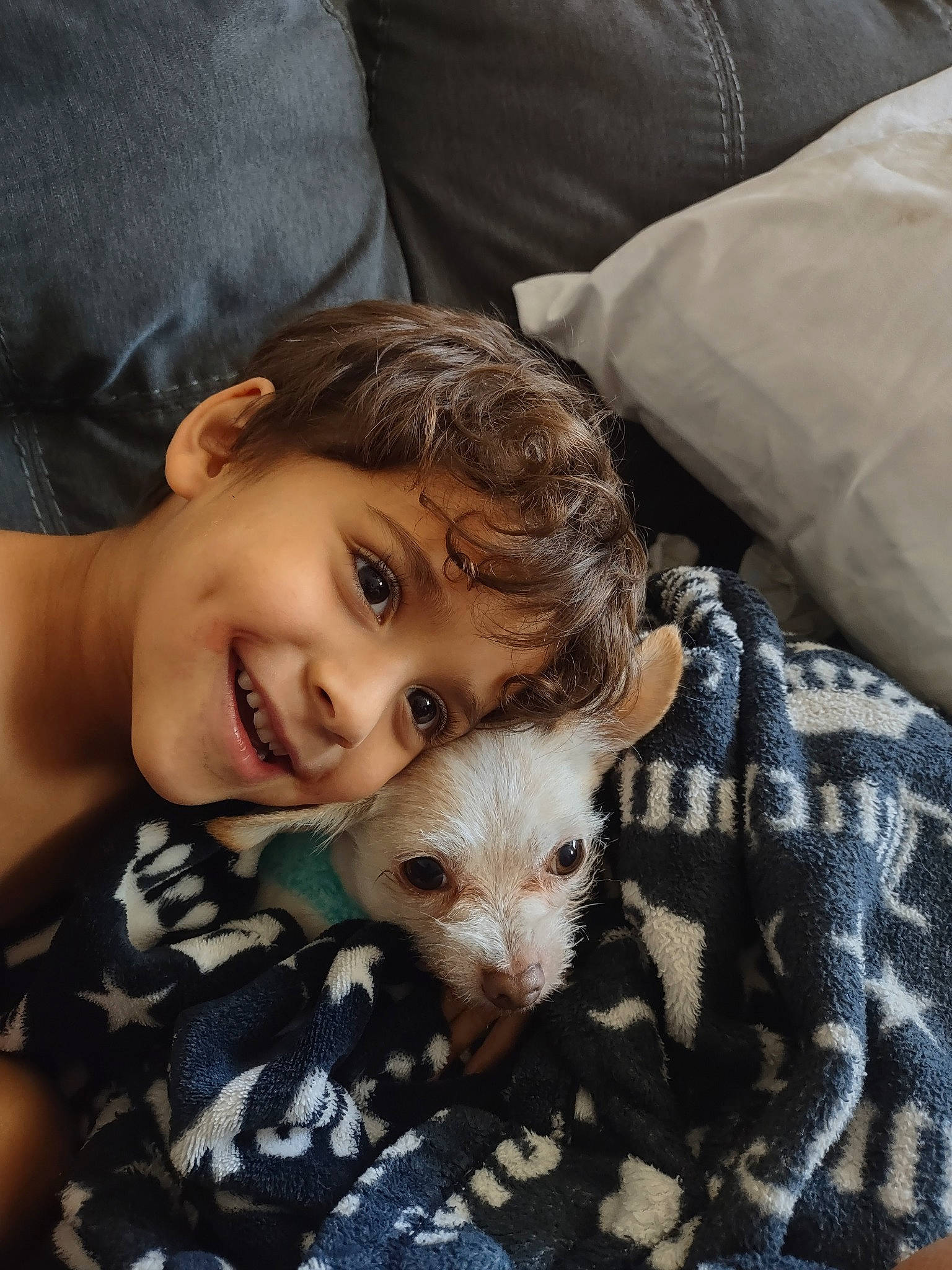 Cubby is registered to the contest to win money with this photo: child, comfort, companion_dog, couch, dog_breed, fun, fur, grass, happy, head, linens, mammal, plaid, sitting, skin, smile, toddler, toy_dog, vacation, vertebrate