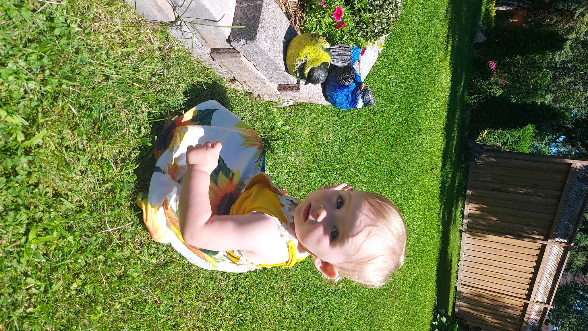 Averie joined the competition — help win amazing prizes! baby, child, event, fun, garden, grass, grass_family, grassland, happy, hat, lawn, leisure, people_in_nature, person, plant, play, recreation, sunglasses, toddler, tree