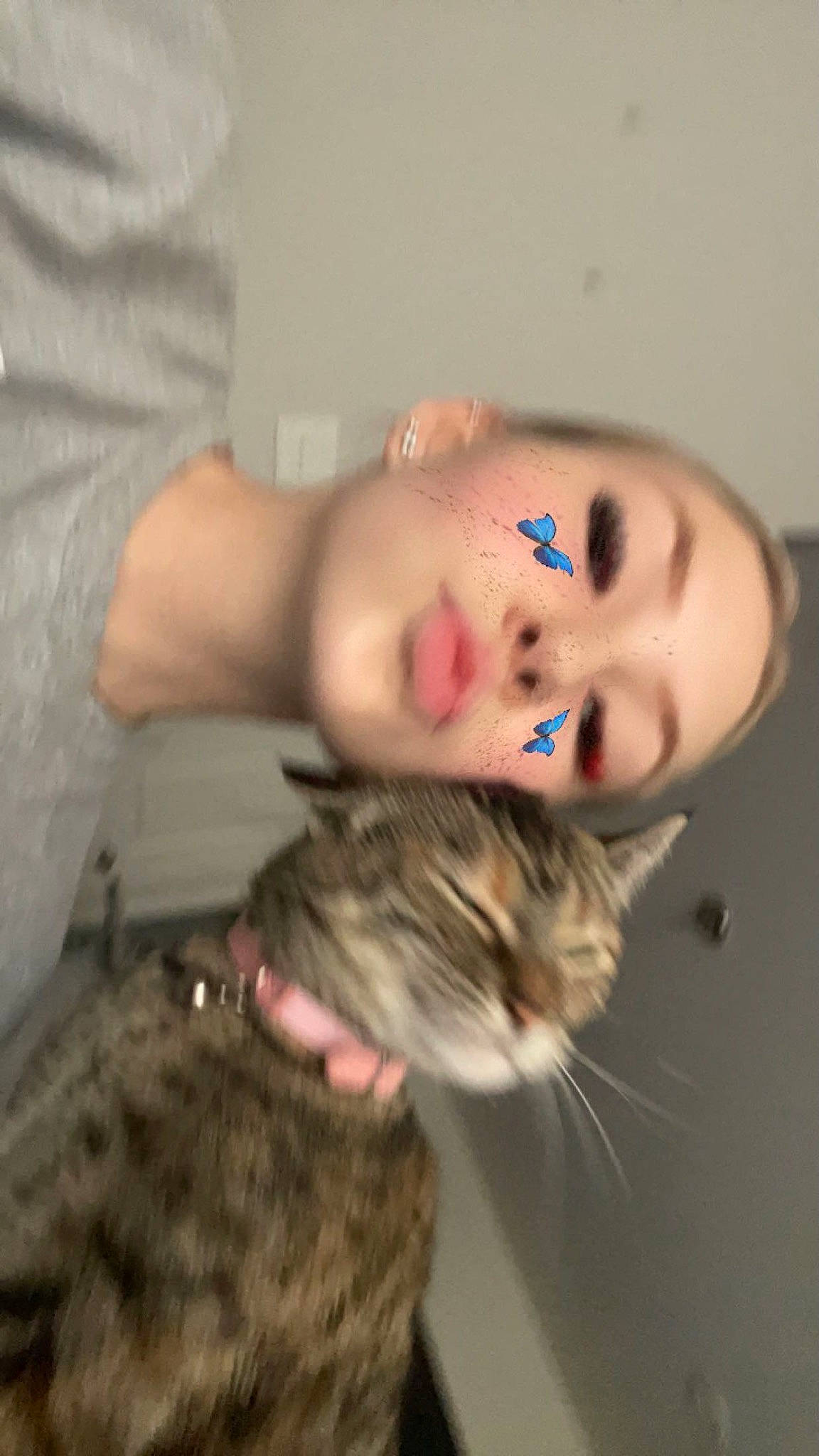 Kiki joined the competition — help win amazing prizes! arm, carnivore, cat, chest, child, domestic_short_haired_cat, eyebrow, eyelash, felidae, fur, gesture, iris, jaw, nose, skin, small_to_medium_sized_cats, sunglasses, tail, toddler, whiskers