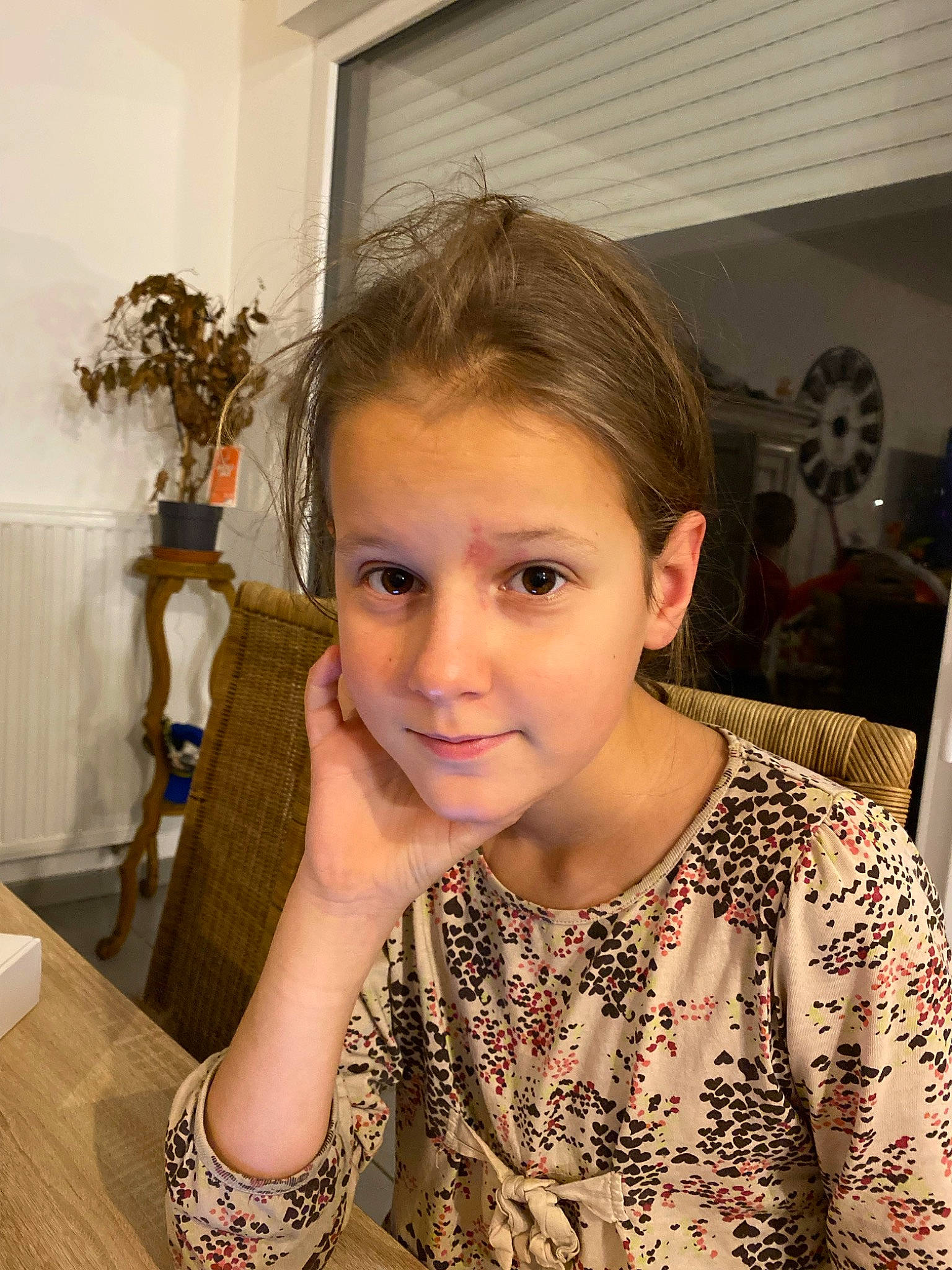 Meline participe au concours pour gagner de l'argent avec cette photo : brown_hair, chair, cheek, ear, event, eyebrow, eyelash, flowerpot, gesture, hairstyle, happy, houseplant, iris, joy, mechanical_fan, nose, person, plant, shoulder, sleeve