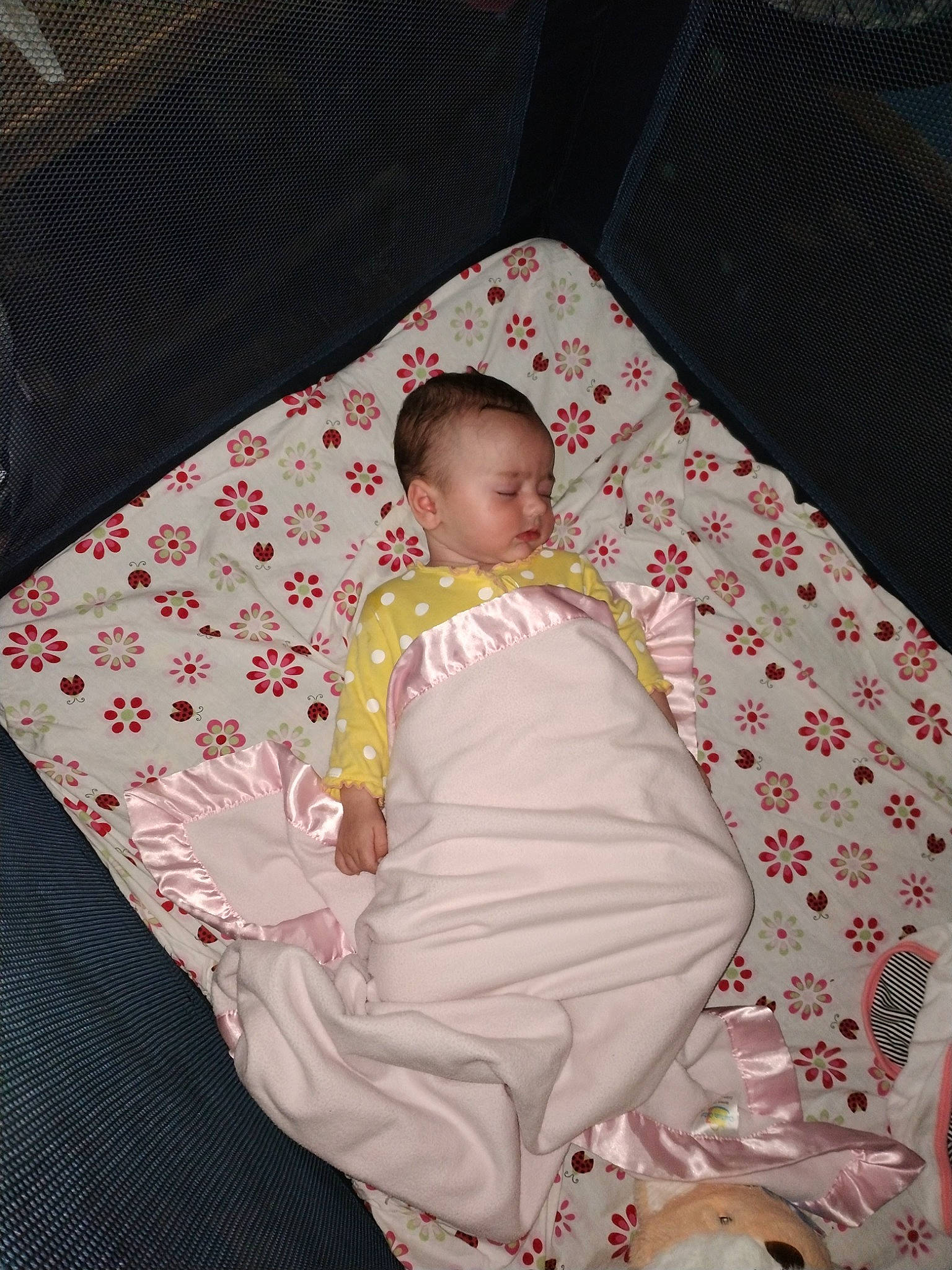 Pasiley joined the competition — help win amazing prizes! baby, baby_products, baby_sleeping, baby_toddler_clothing, bed_sheet, bedding, bedtime, child, comfort, lap, linens, magenta, mammal, pattern, person, pink, room, sitting, sleeve, toddler