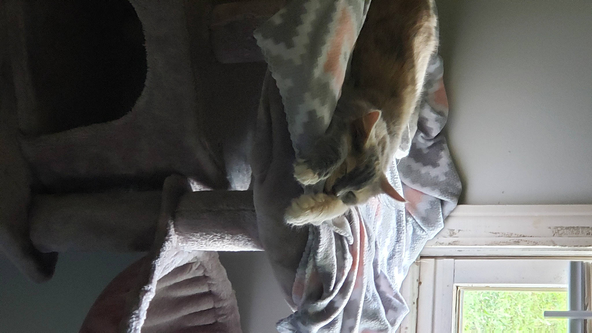 Smoke joined the competition — help win amazing prizes! art, carving, classical_sculpture, curtain, felidae, fur, metal, monument, sculpture, small_to_medium_sized_cats, statue, stone_carving, tints_and_shades, visual_arts, window, wood