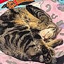 Belly joined the competition — help win amazing prizes! animal, blanket, cat, cozy, curled_up, cute, domestic_cat, feline, fur, indoor, patterned_blanket, paw, pet, relaxation, resting, sleeping, soft_texture, striped, tabby, whiskers
