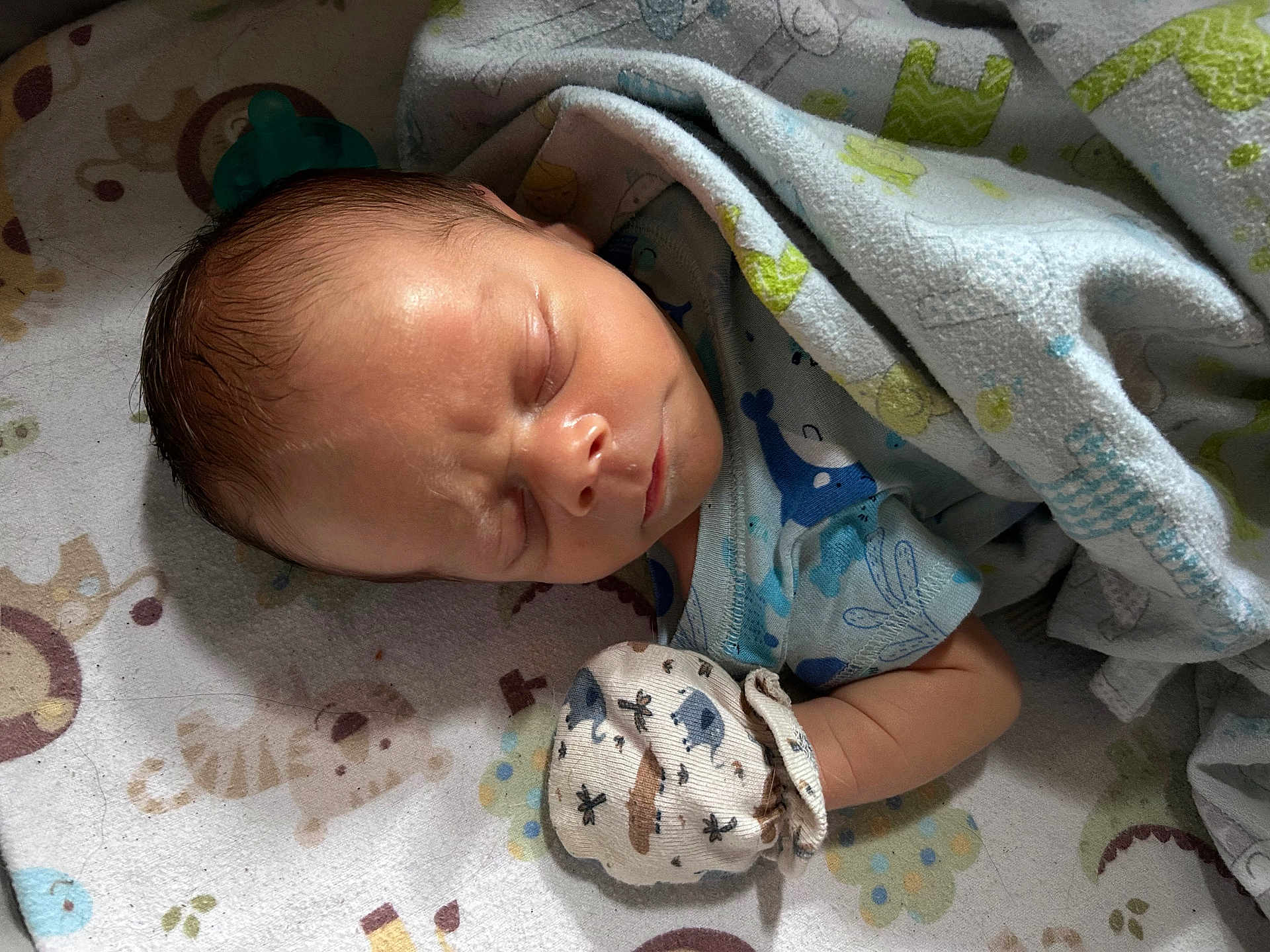 Theo is registered to the contest to win money with this photo: newborn, baby, sleeping, blanket, mitten, infant, face, bed, patterned_blanket, peaceful, closeup, person, cute, soft_lighting, human, resting, indoors, child, clothing, toddler