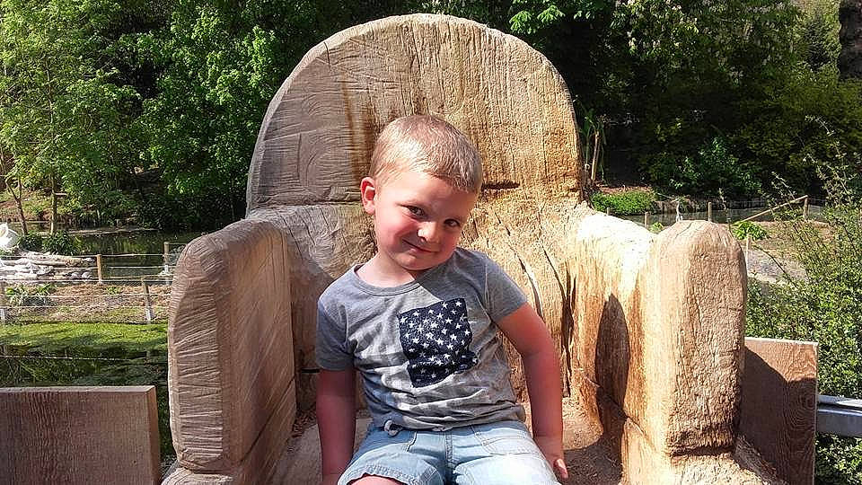 Lorenzo participe au concours pour gagner de l'argent avec cette photo : child, fawn, joy, person, sitting, smile, toddler, tree, vacation