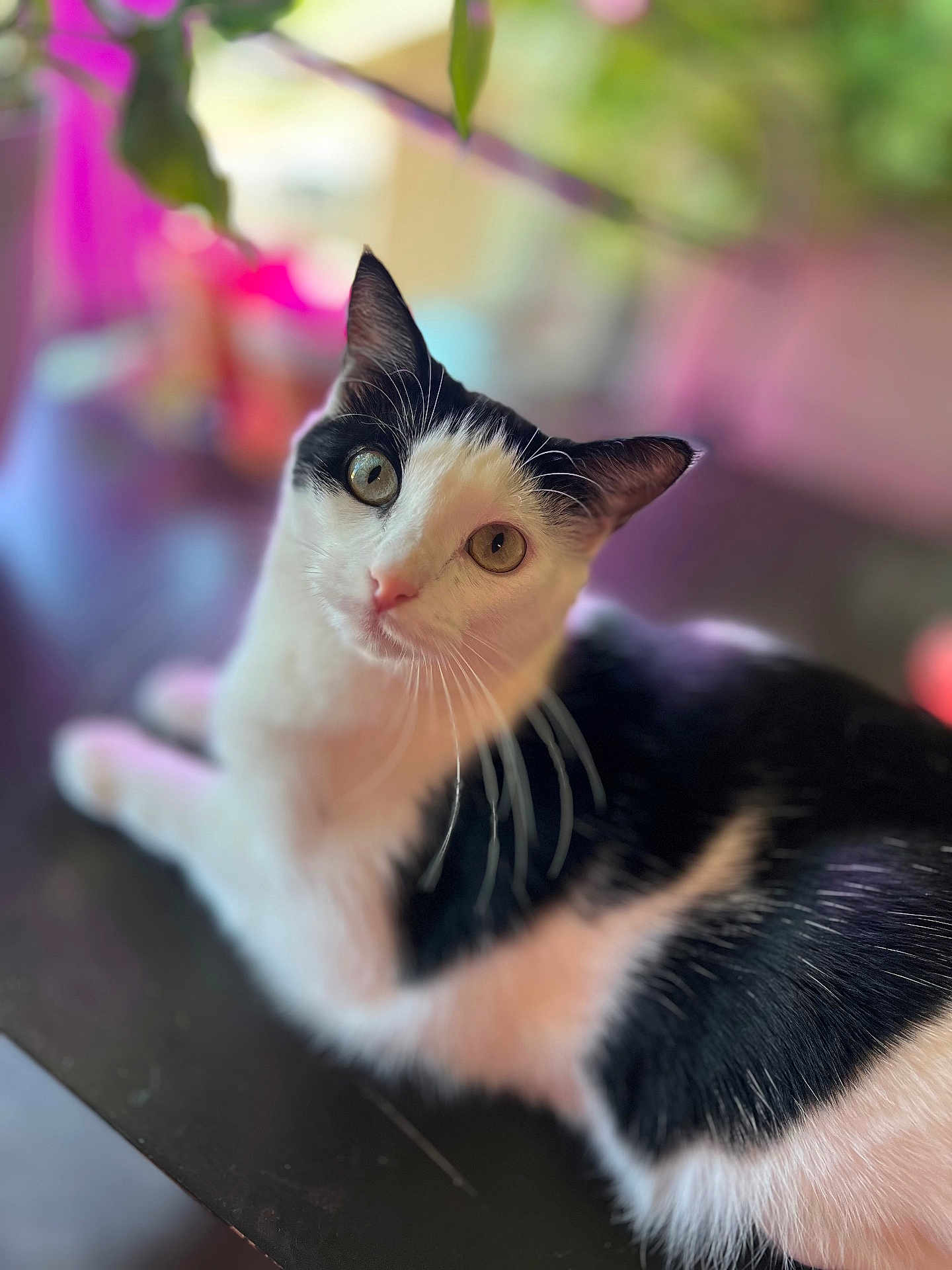 Precious