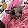Beerus