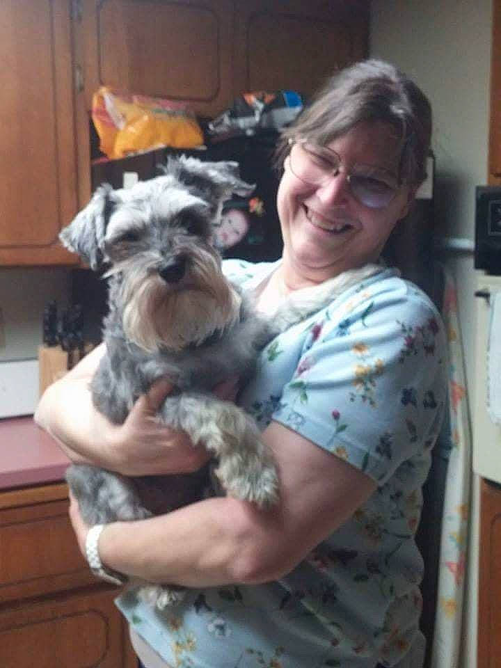 Emmie is registered to the contest to win money with this photo: cabinetry, canidae, carnivore, comfort, companion_dog, dog, dog_breed, eyewear, fur, non_sporting_group, schnauzer, small_terrier, smile, sporting_group, standard_schnauzer, t_shirt, terrier, toy_dog, working_animal
