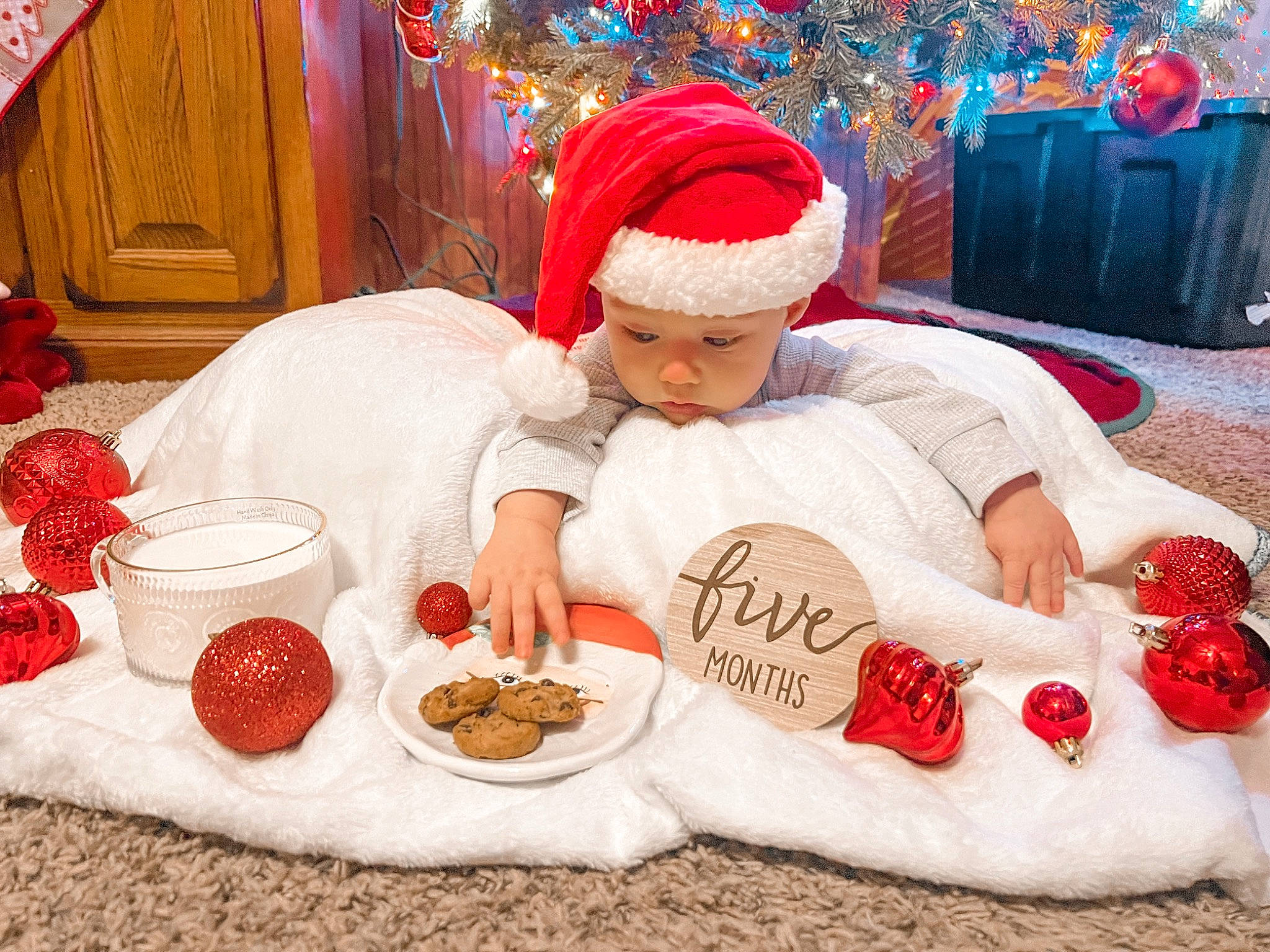 Sterling is registered to the contest to win money with this photo: carmine, christmas, christmas_eve, comfort, cuisine, dish, event, finger_food, food, food_group, fun, headwear, holiday, ingredient, linens, person, plate, recipe, superfood, sweetness