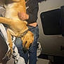 Hunter is registered to the contest to win money with this photo: man, dog, couch, blanket, indoor, sleeping, beard, casual_clothing, jeans, relaxation, pet, companion, cozy, furniture, rest, home, comfort, nap, brown_dog, human