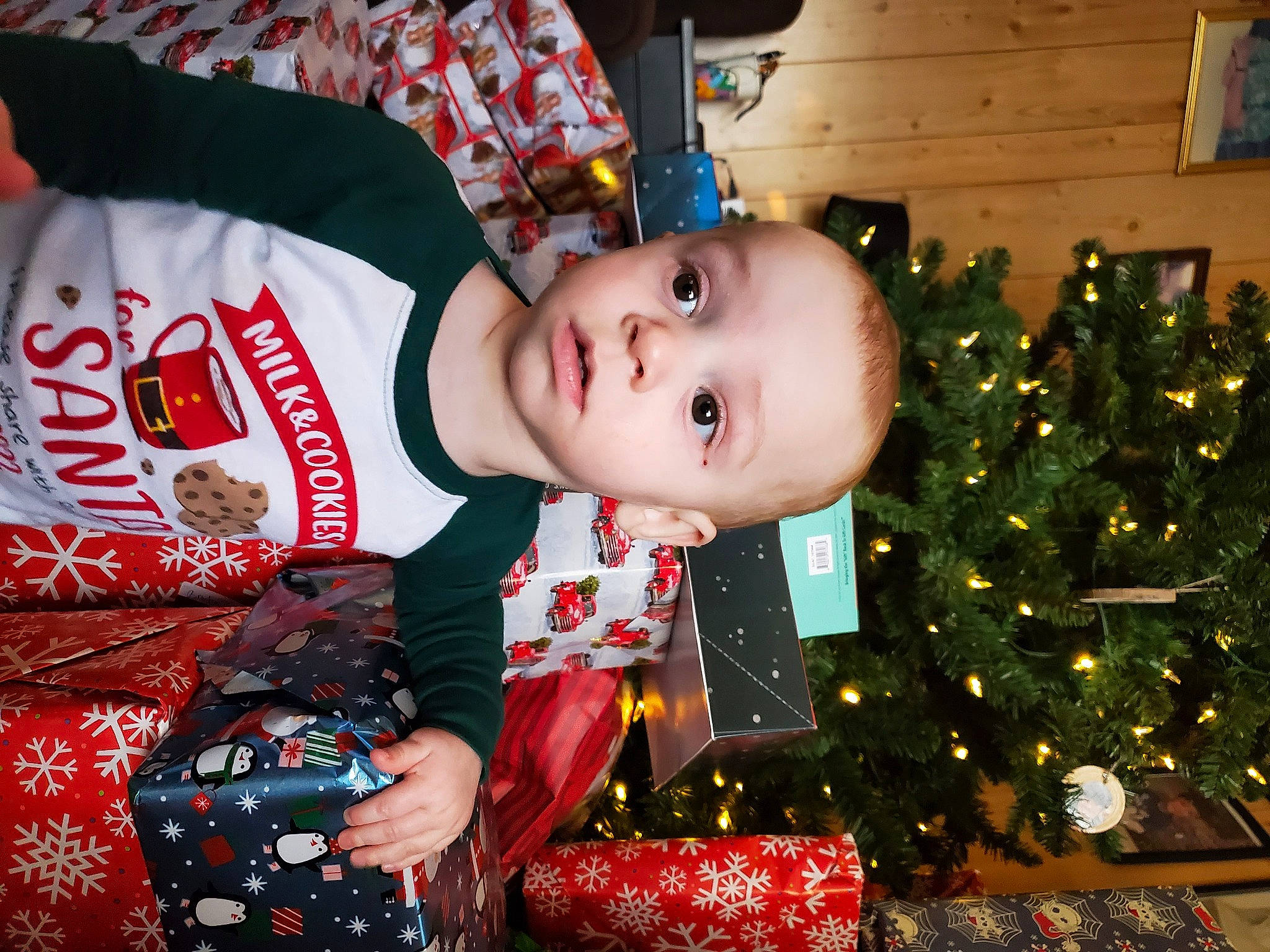 Micah joined the competition — help win amazing prizes! baby, christmas, christmas_decoration, christmas_eve, christmas_ornament, christmas_tree, conifer, event, evergreen, happy, head, holiday, holiday_ornament, ornament, person, plant, red, sleeve, toddler, tradition