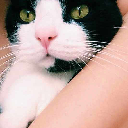 Rudey is registered to the contest to win money with this photo: