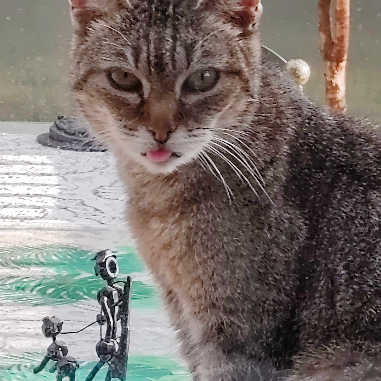 Pépette