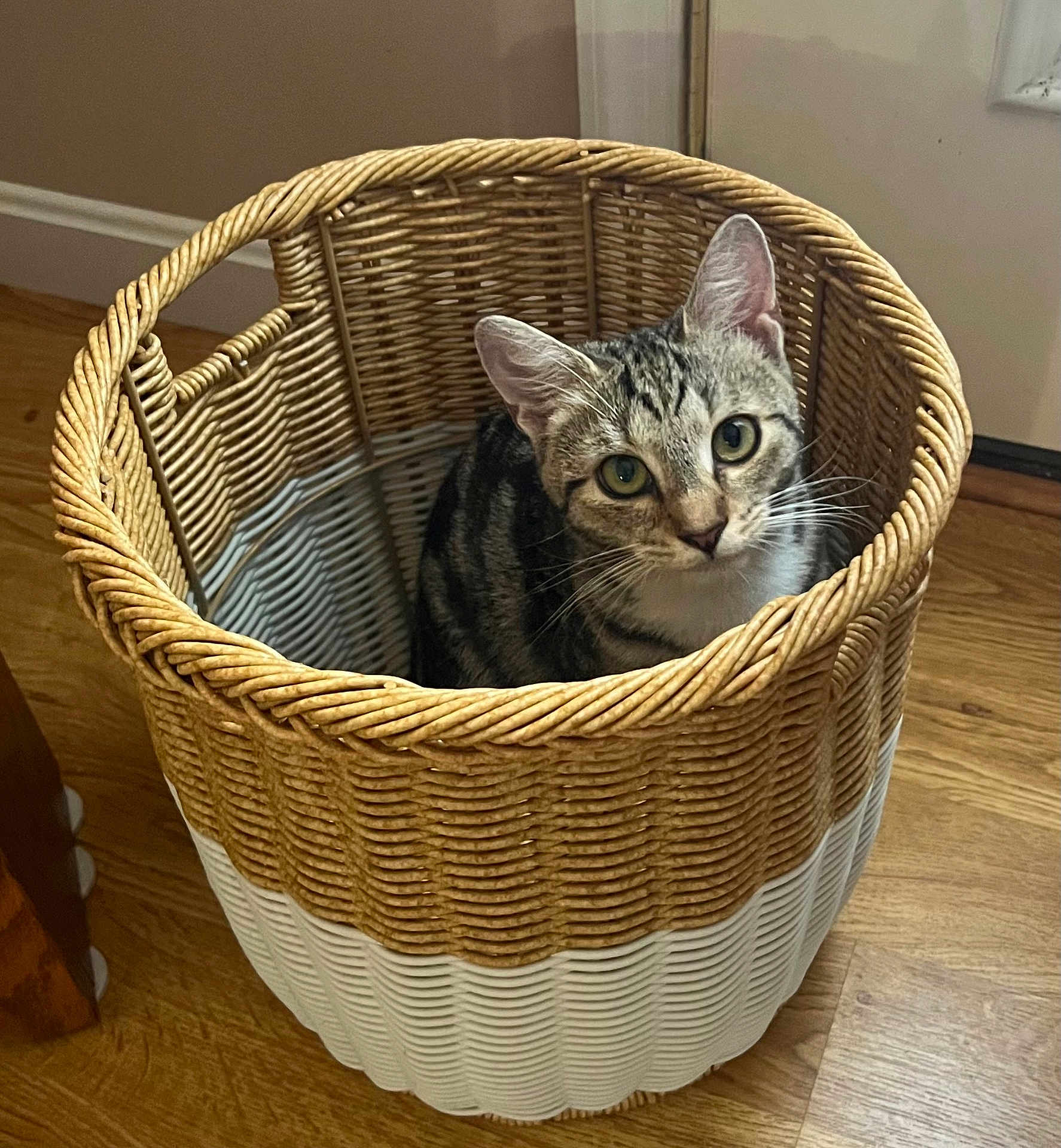 Peanut