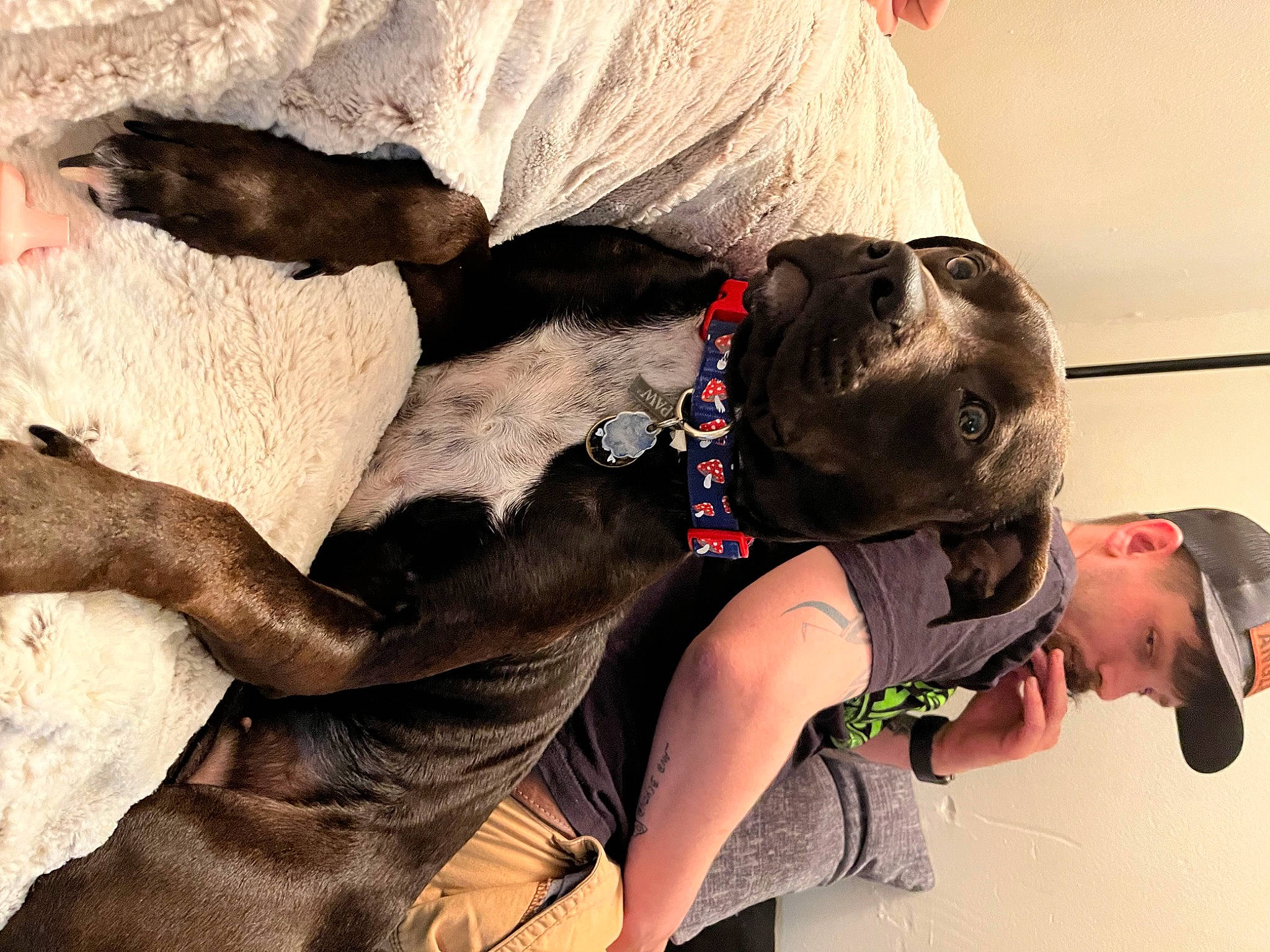 Pandora joined the competition — help win amazing prizes! artist, companion_dog, costume, elbow, entertainment, event, eyewear, fashion_design, fun, fur, goggles, performance, performance_art, performing_arts, shoulder, sunglasses, visual_arts