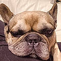 Max S.