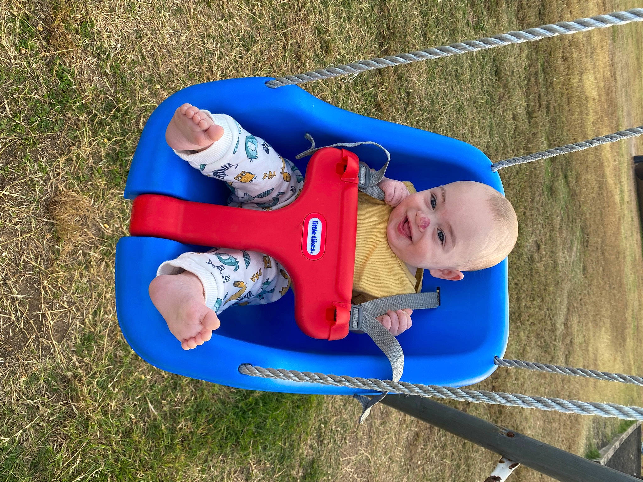 Brighton is registered to the contest to win money with this photo: baby, baby_products, baby_toddler_clothing, child, city, electric_blue, fun, grass, happy, hat, joy, leisure, outdoor_play_equipment, people_in_nature, person, play, playground, recreation, sitting, t_shirt
