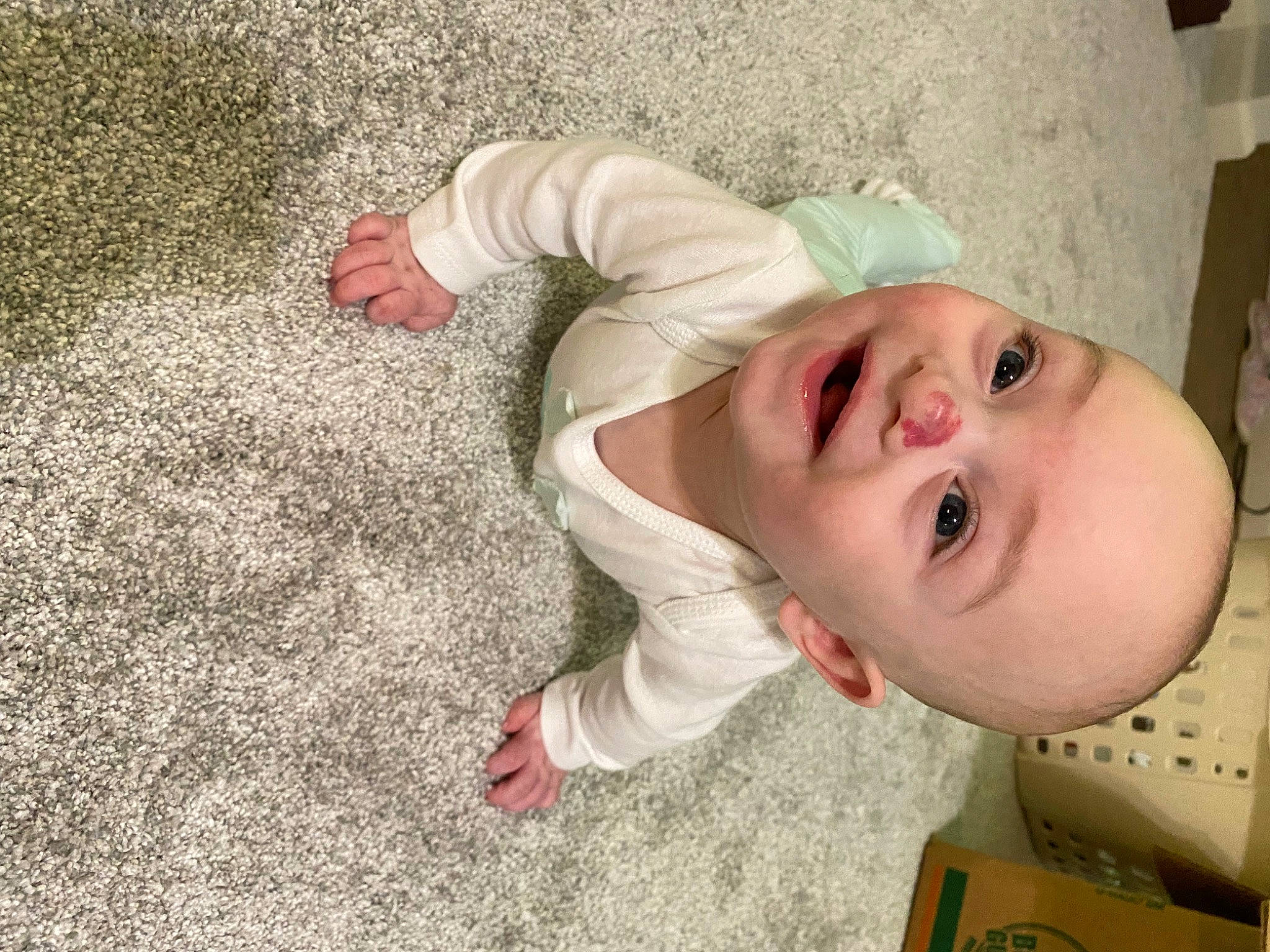 Brighton is registered to the contest to win money with this photo: baby, baby_toddler_clothing, cheek, child, eye, eyelash, face, flooring, fur, grass, happy, lip, nose, person, plant, skin, sleeve, smile, toddler, tree