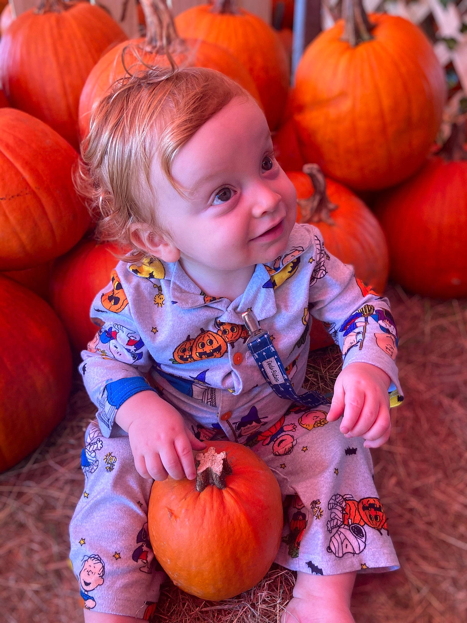 Jackson joined the competition — help win amazing prizes! arm, calabaza, cucurbita, eye, facial_expression, green, hand, head, leaf, leg, mouth, natural_foods, orange, organ, person, photograph, plant, pumpkin, smile, trousers