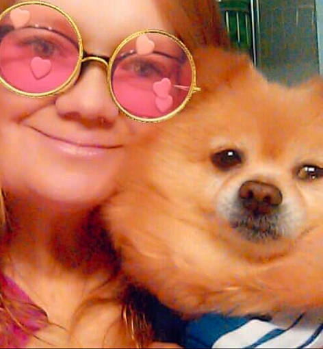 Fluffy is registered to the contest to win money with this photo: carnivore, cheek, chin, dog, ear, eye, eyebrow, eyelash, eyewear, fawn, glasses, happy, iris, mouth, nose, skin, smile, spitz, sunglasses, vision_care