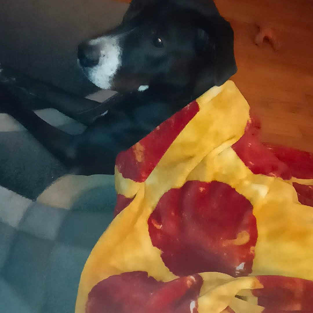 Max