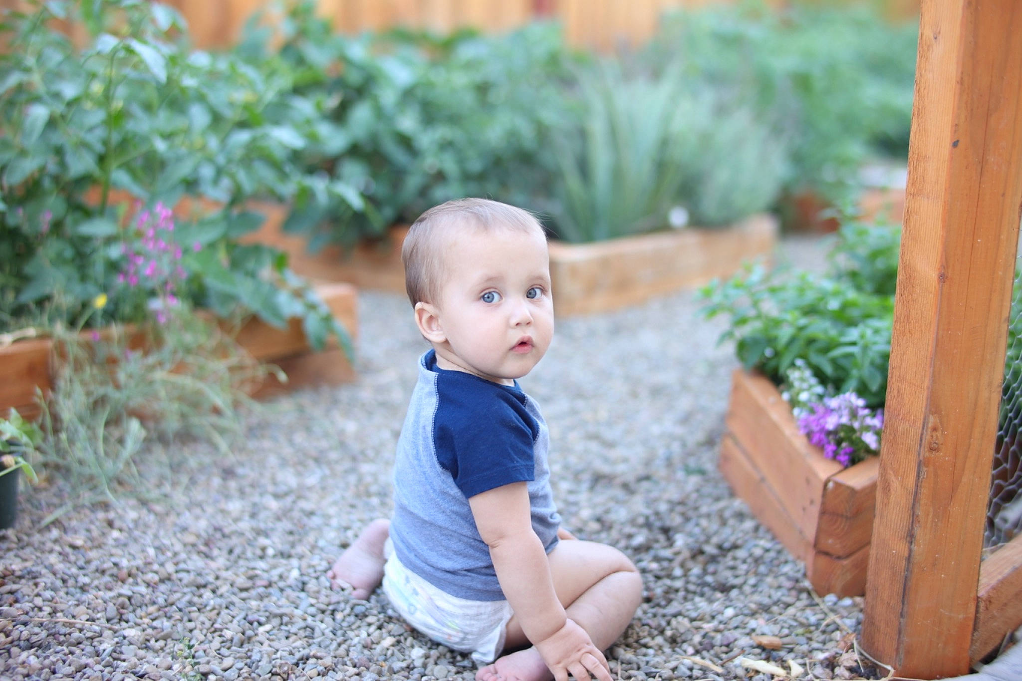 Cole joined the competition — help win amazing prizes! annual_plant, baby, baby_toddler_clothing, eye, flooring, flower, flowerpot, garden, grass, groundcover, happy, houseplant, leaf, leisure, people_in_nature, person, plant, sitting, surprise, t_shirt
