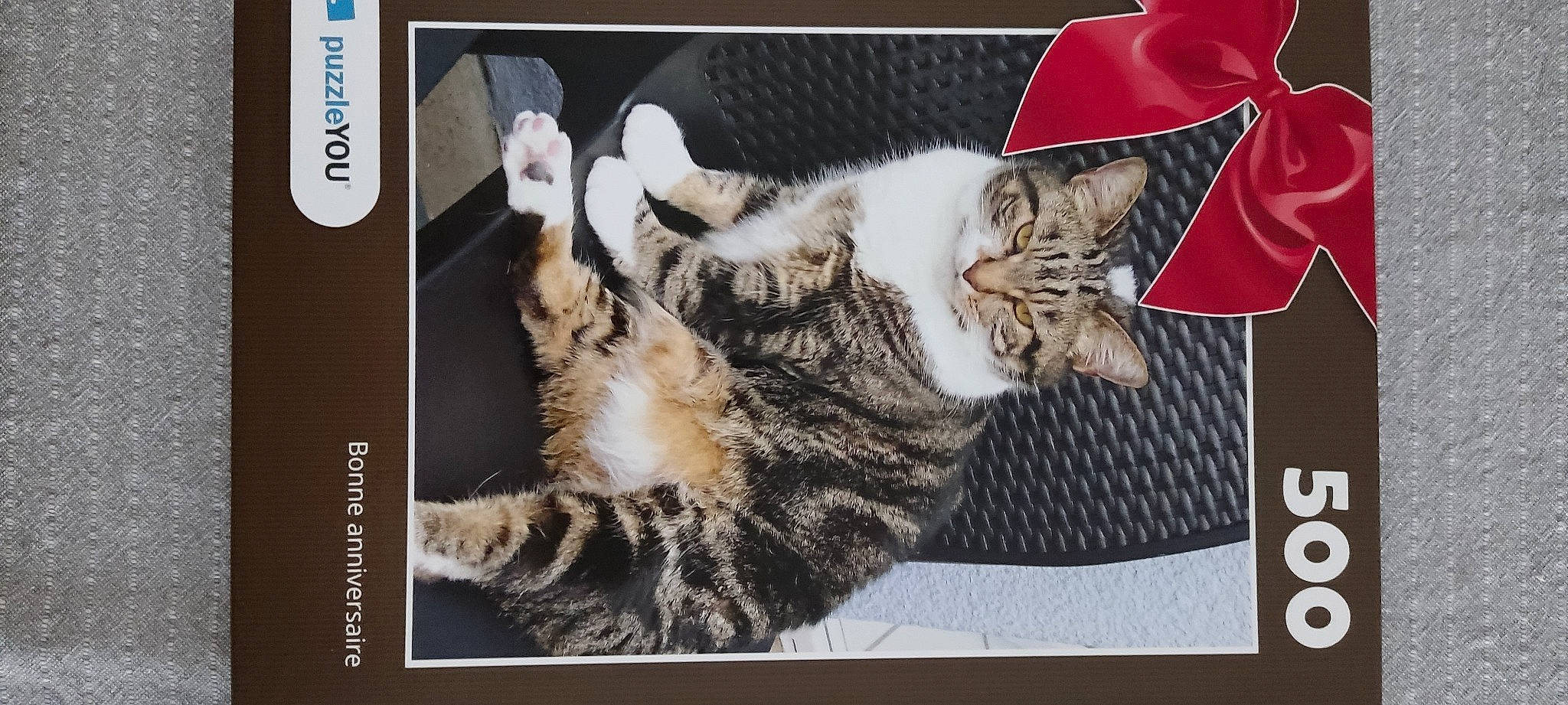 Pepere participe au concours pour gagner de l'argent avec cette photo : cap, carmine, carnivore, cat, domestic_short_haired_cat, felidae, font, fur, hat, organism, paw, photo_caption, photography, rectangle, small_to_medium_sized_cats, stock_photography, whiskers