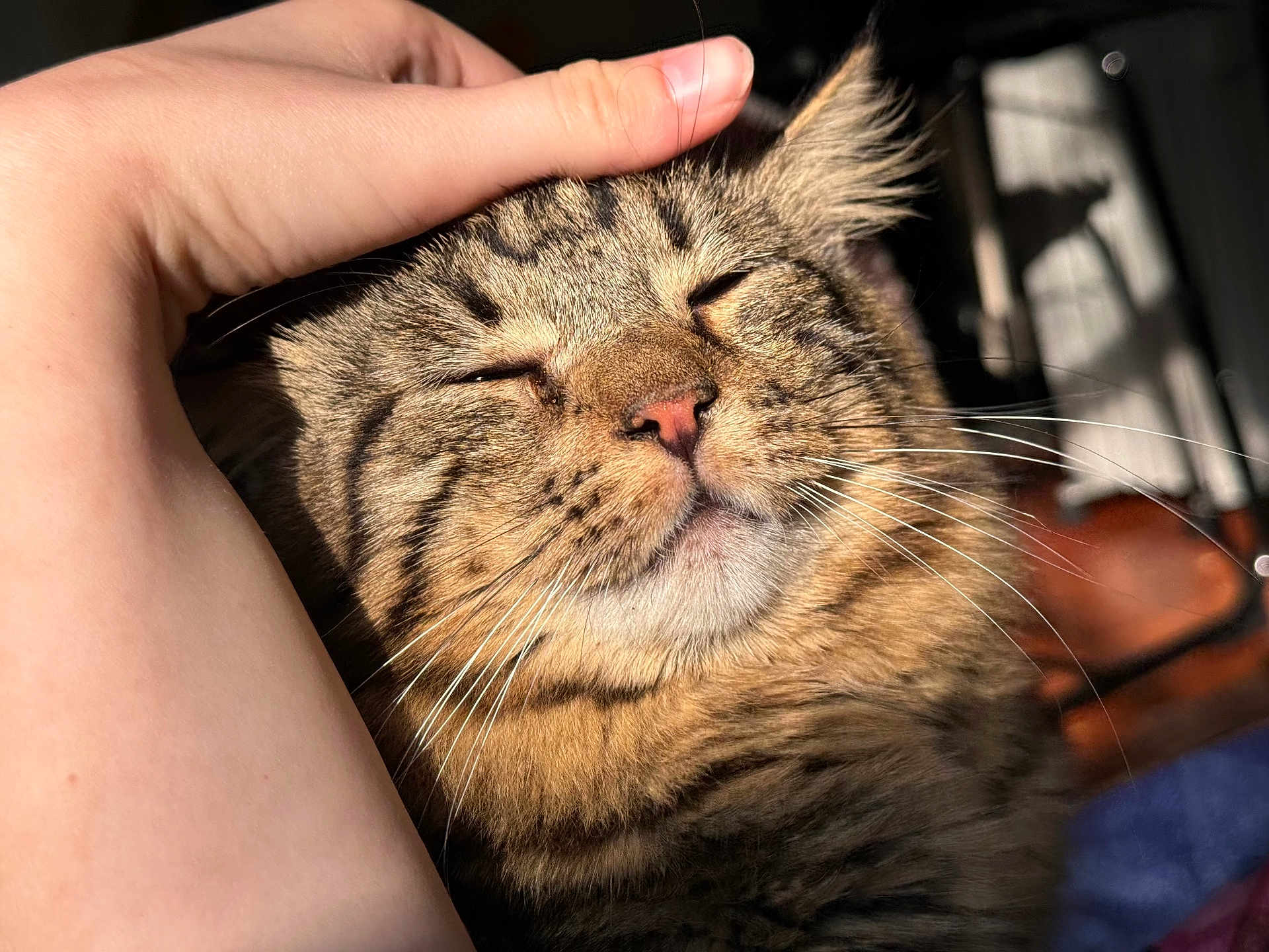 Muffin
