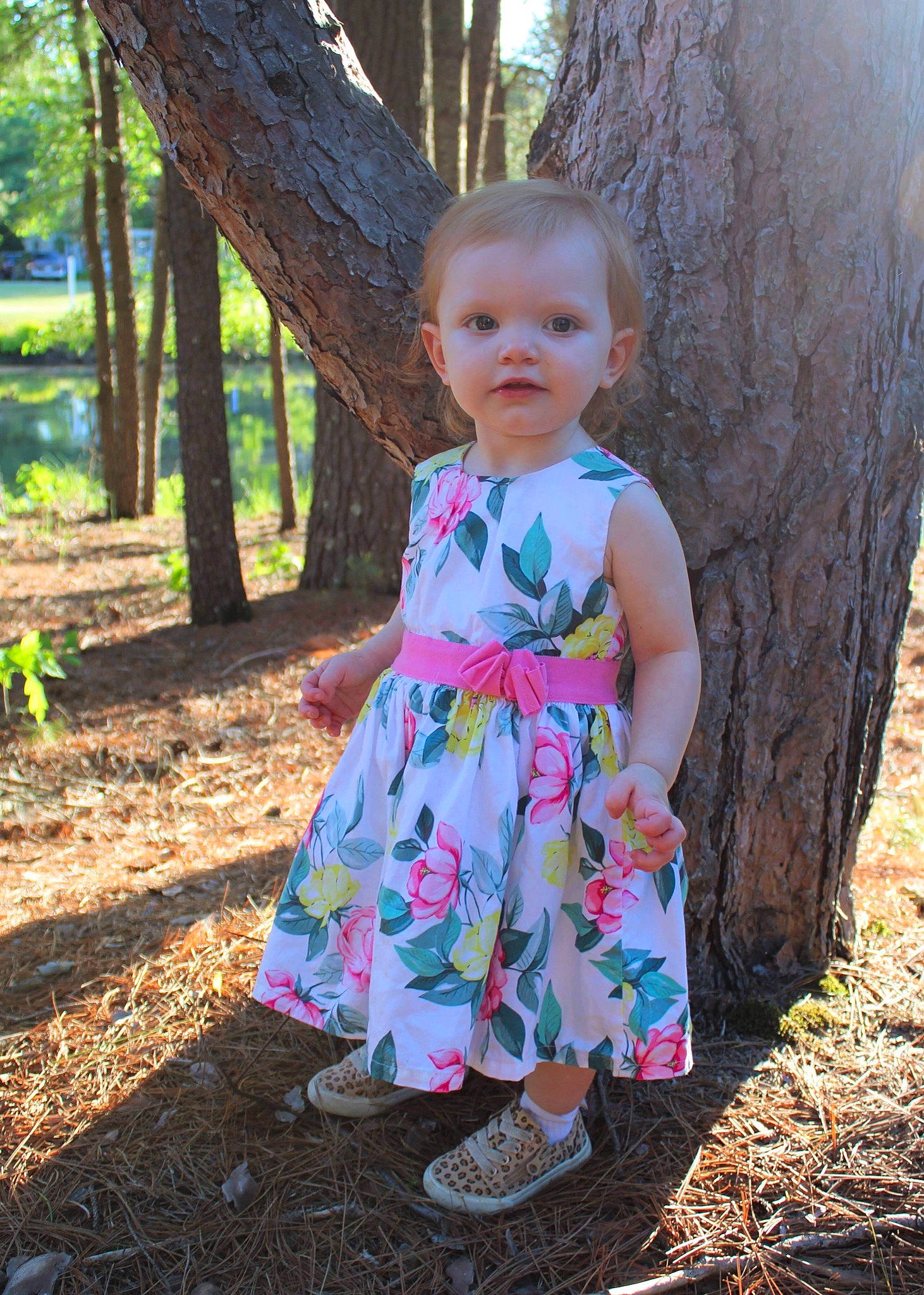 Novaleigh joined the competition — help win amazing prizes! adaptation, baby_toddler_clothing, child, day_dress, dress, eye, forest, fun, grass, happy, iris, natural_environment, people_in_nature, person, plant, standing, sunlight, toddler, tree, trunk