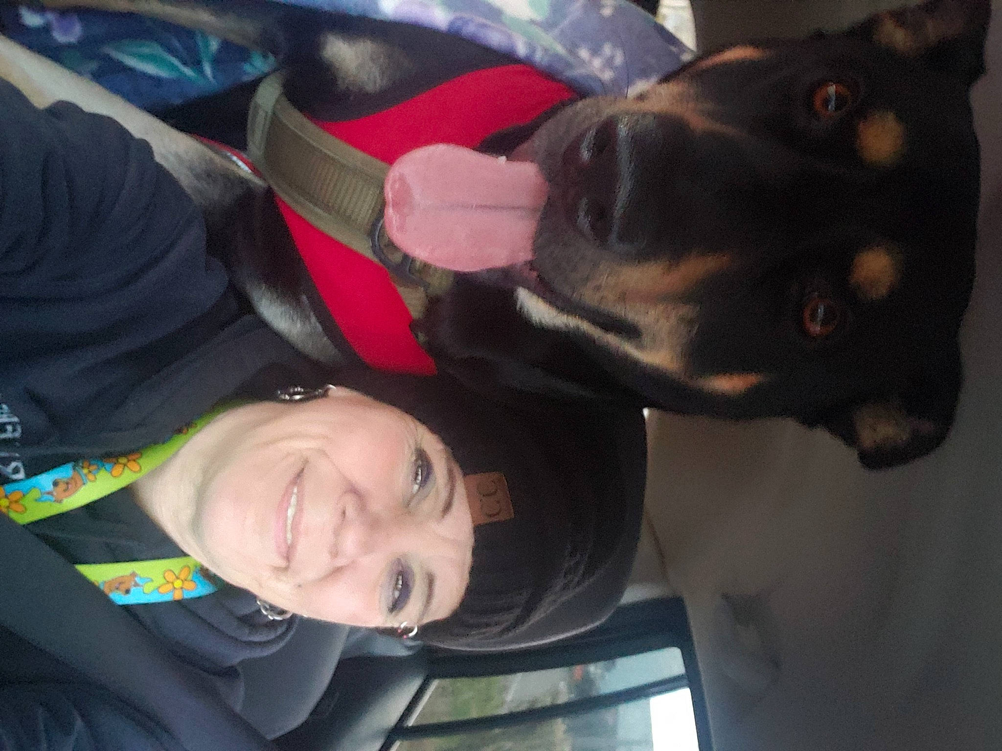 Scar joined the competition — help win amazing prizes! canidae, carnivore, comfort, companion_dog, dog, dog_breed, fawn, fun, fur, gesture, guard_dog, happy, smile, sporting_group, working_animal, working_dog