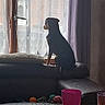 backlighting, brick_wall, coffee_table, couch, curtain, daylight, dog, home, indoor, living_room, pet, pink_cup, profile, silhouette, sitting, small_dog, sofa, television_remote, window, wooden_table