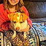 girl, dog, leopard_print, leggings, pink_sweater, couch, blanket, indoor, smiling, sitting, blonde_hair, pet, animal, cozy, wood_floor, casual, portrait, young, home, comfortable