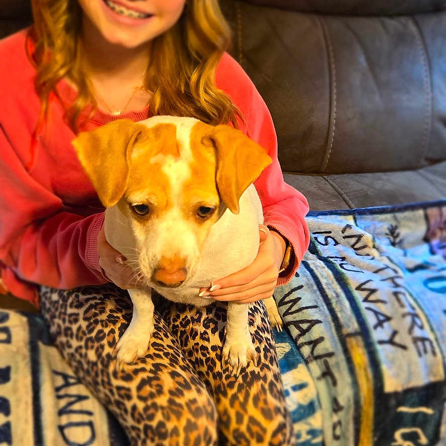 Lucy joined the competition — help win amazing prizes! animal, blanket, blonde_hair, casual, comfortable, couch, cozy, dog, girl, home, indoor, leggings, leopard_print, pet, pink_sweater, portrait, sitting, smiling, wood_floor, young