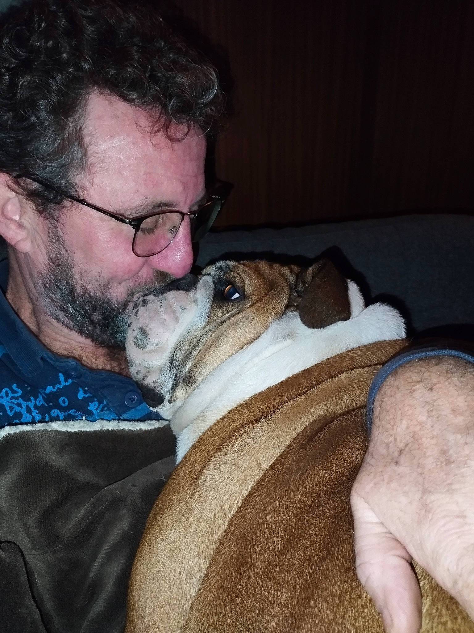 Roanita a rejoint le concours — aidez-le/la à gagner de superbes lots ! beard, bulldog, canidae, carnivore, comfort, companion_dog, dog, dog_breed, ear, eyewear, facial_hair, fawn, fur, glasses, snout, sporting_group, toy_dog, vision_care, whiskers, wrinkle