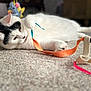 cat, white_cat, black_markings, carpet, toy, ribbon, playful, indoor, pet, animal, whiskers, paws, lying_down, close_up, feline, home, cozy, resting, cute, curious