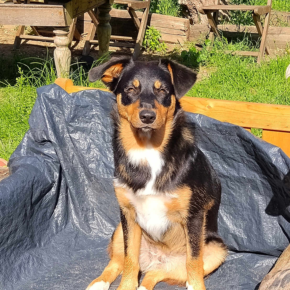 Lilo