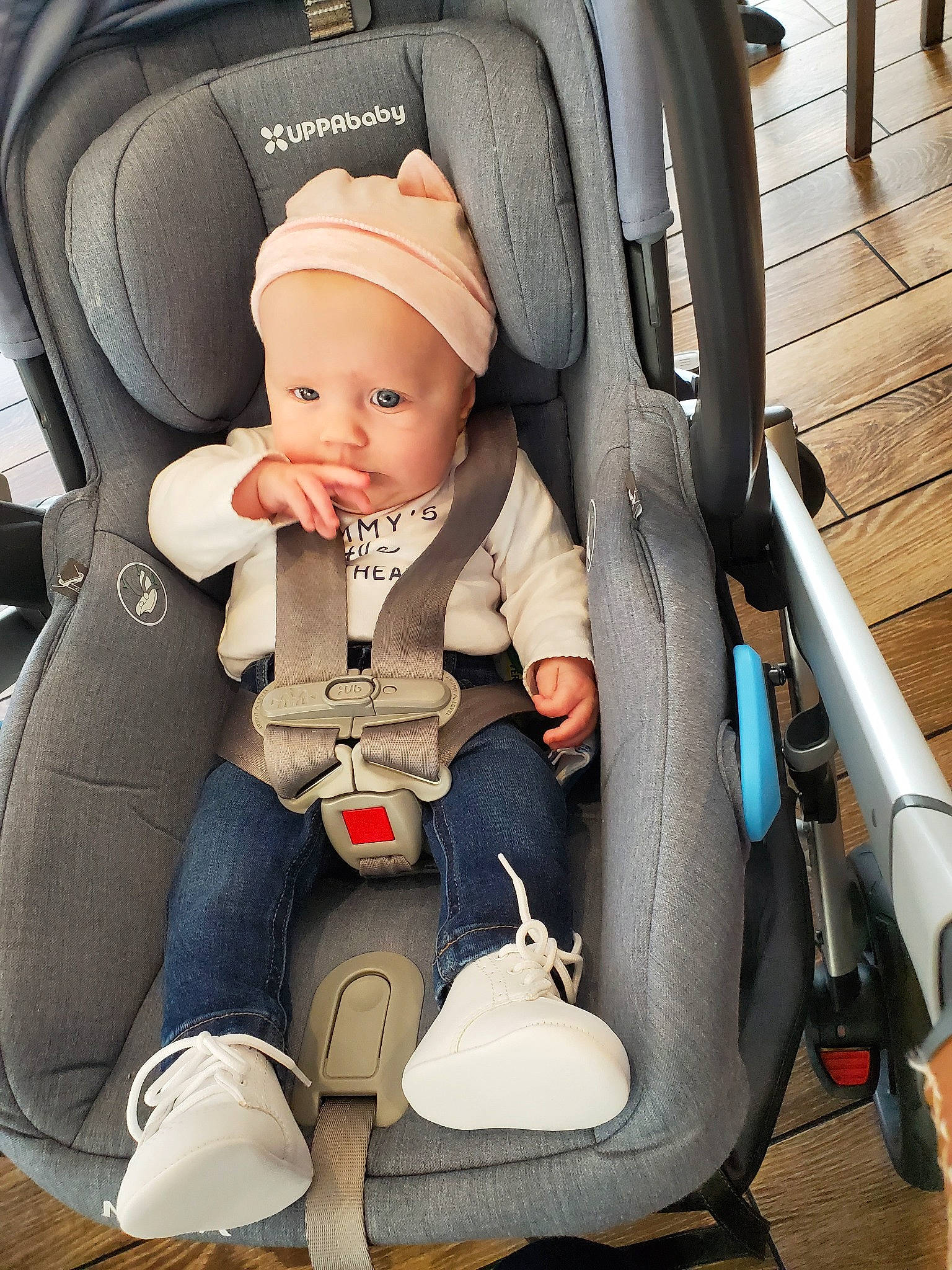 Emmalyn is registered to the contest to win money with this photo: auto_part, baby, baby_carriage, baby_in_car_seat, baby_products, car_seat, car_seat_cover, child, comfort, family_car, joy, person, plant, product, sitting, toddler