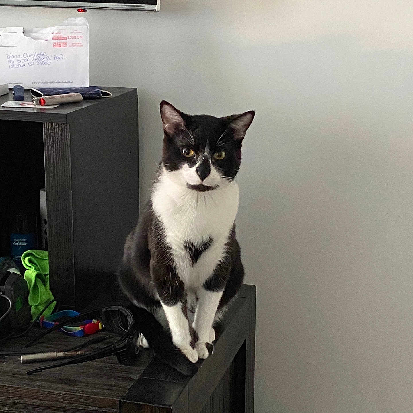 Kratos joined the competition — help win amazing prizes! accessories, animal, bag, cat, computer, computerhardware, desk, electronics, furniture, handbag, hardware, hardwood, monitor, pet, screen, stainedwood, table, text, tv, wood