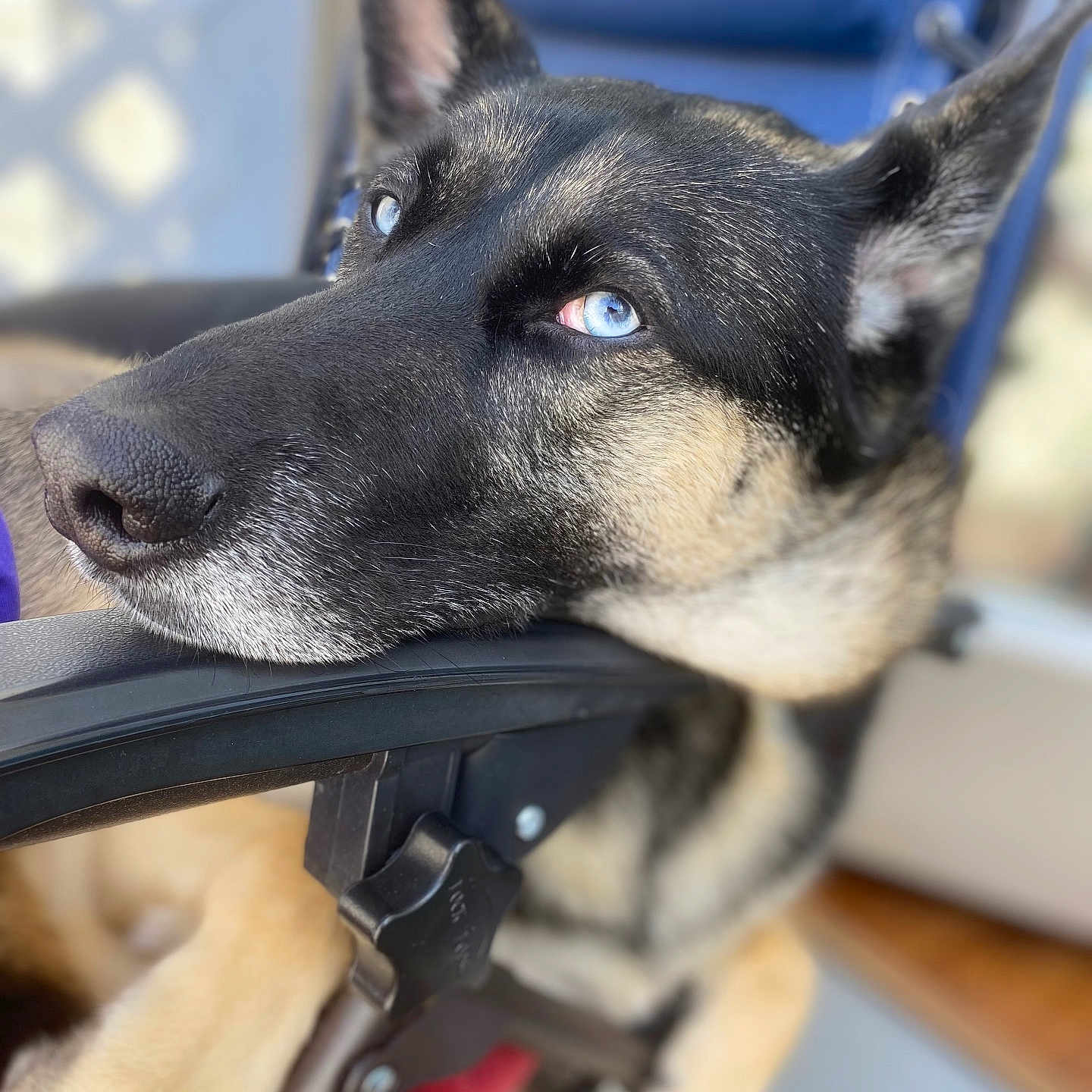 Skye