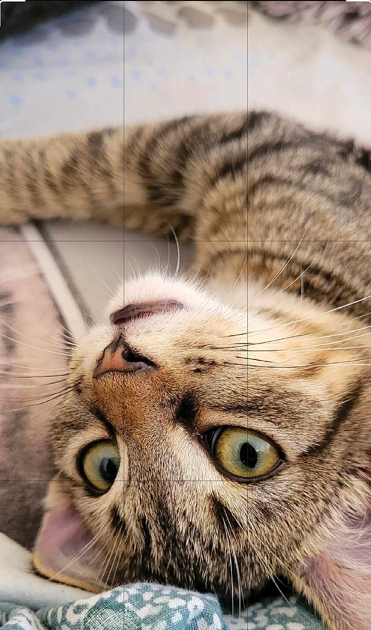 Sid