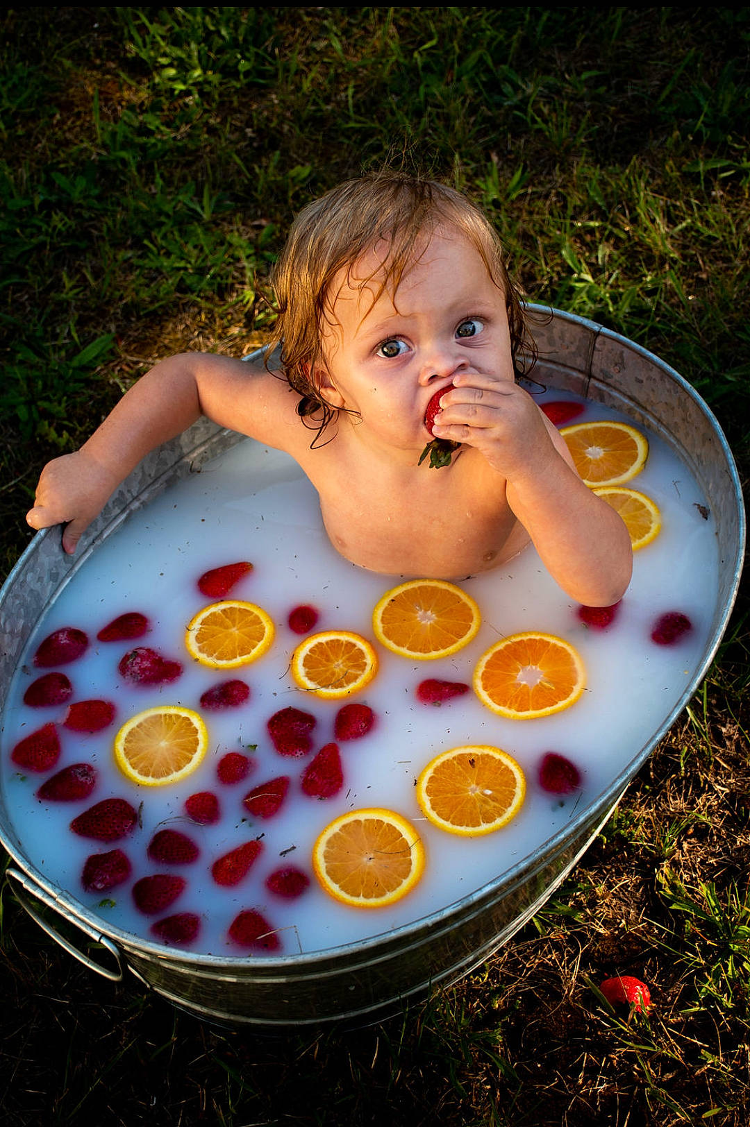 Daniel joined the competition — help win amazing prizes! baby, bathing, chair, child, circle, comfort_food, dishware, food, fun, grass, happy, leisure, orange, person, plant, plate, product, recreation, serveware, tableware