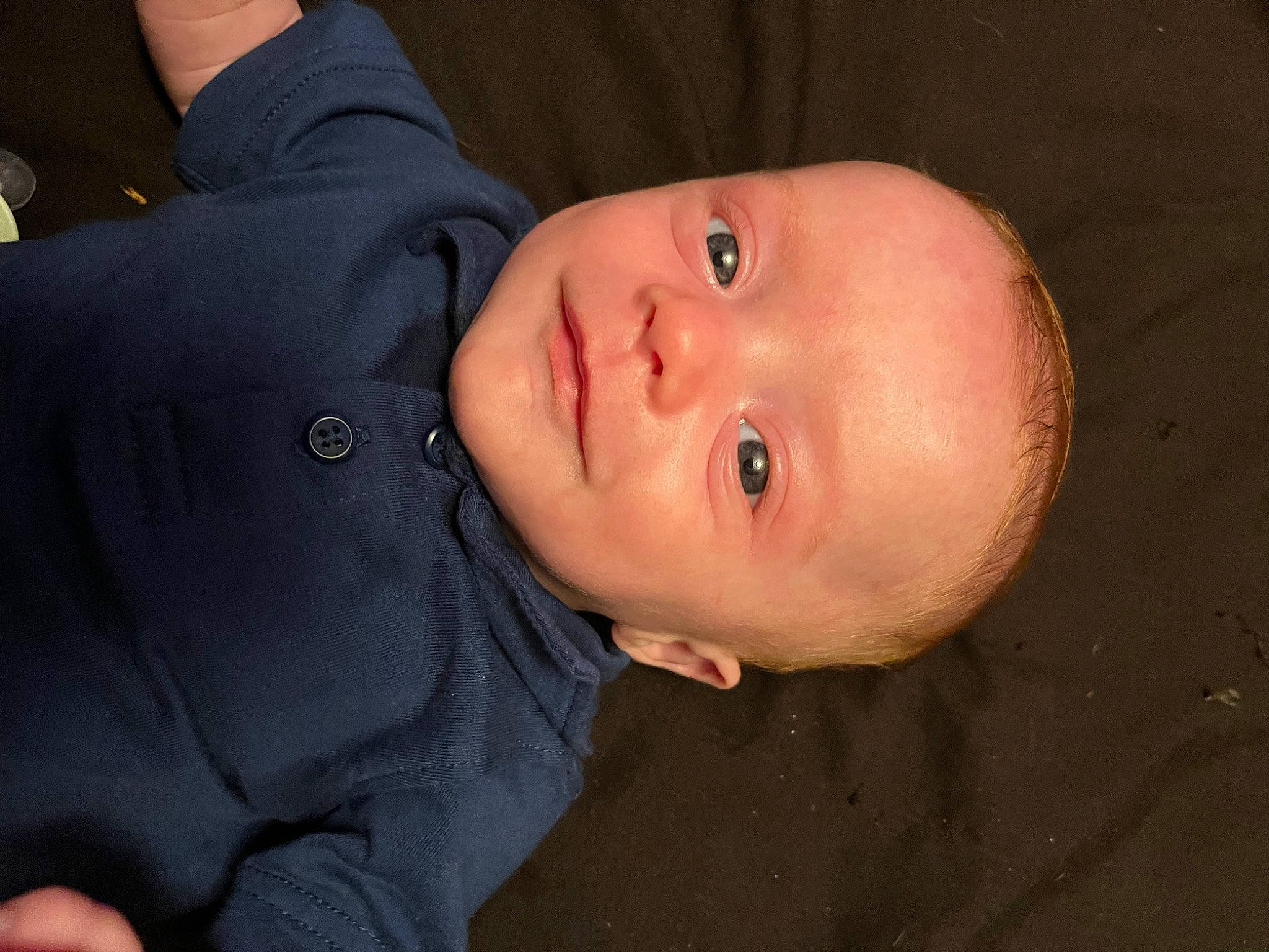 Owen joined the competition — help win amazing prizes! baby, baby_toddler_clothing, cheek, child, comfort, eye, eyebrow, eyelash, flash_photography, fun, fur, iris, lip, nose, person, portrait_photography, sitting, sleeve, toddler, tree