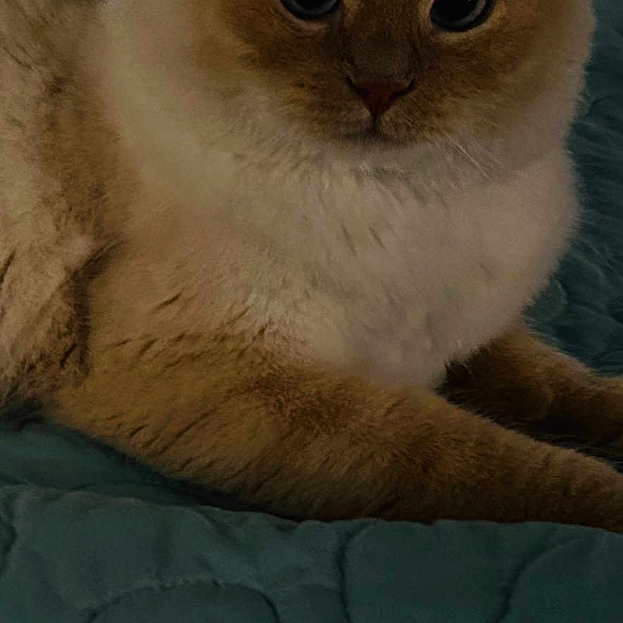 Jackie