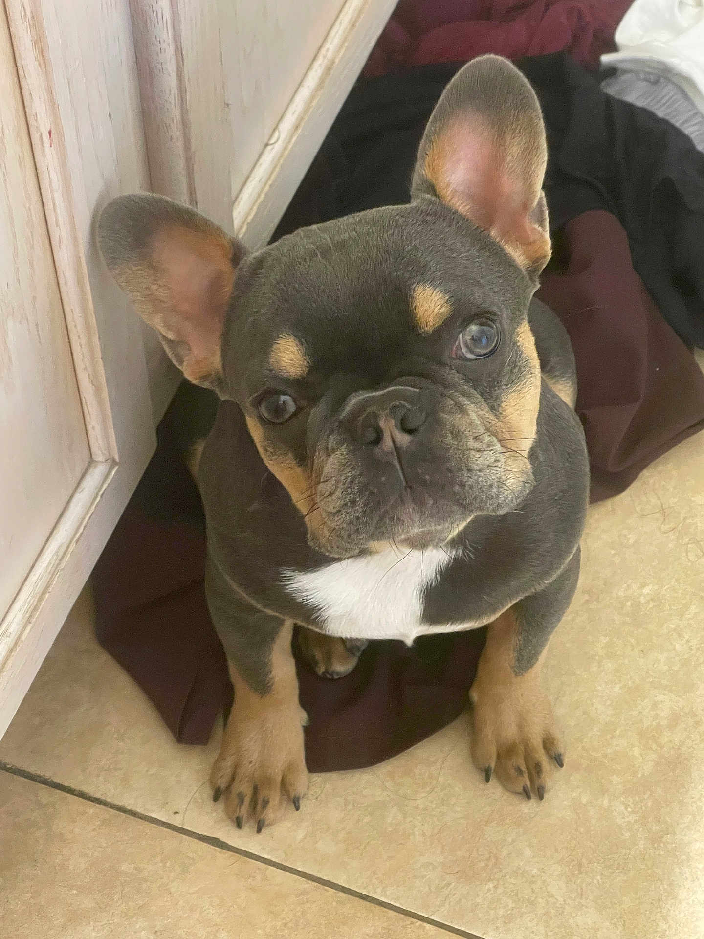 Hector