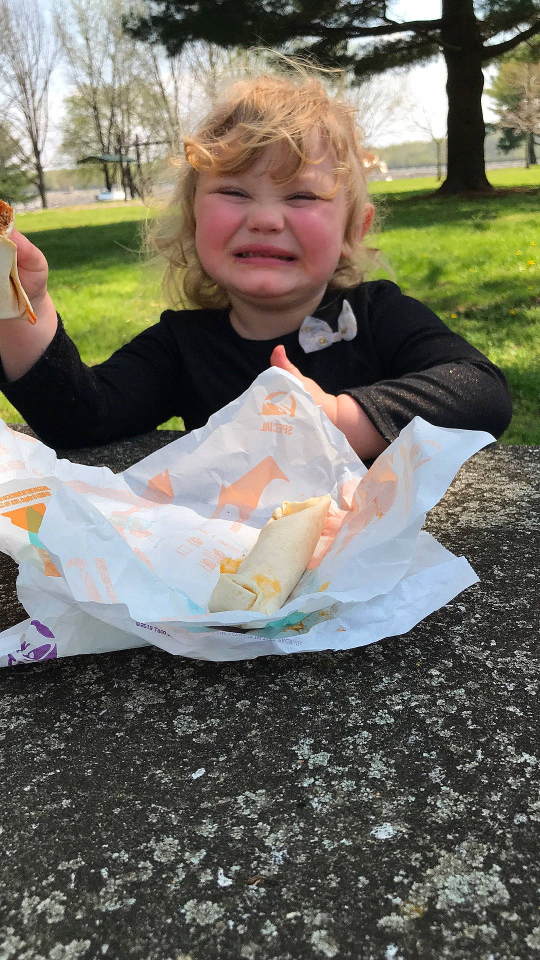 Novella joined the competition — help win amazing prizes! grass, paper, person, sitting, sorrow