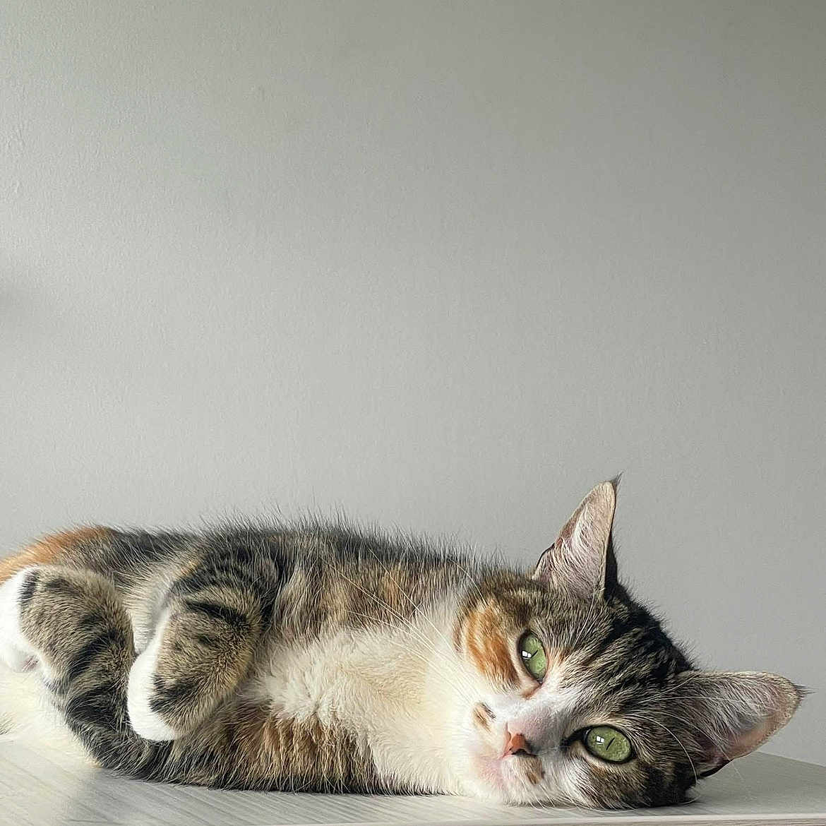 Tinka